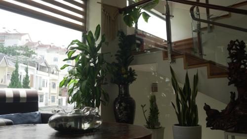 Hoshi DaLat House