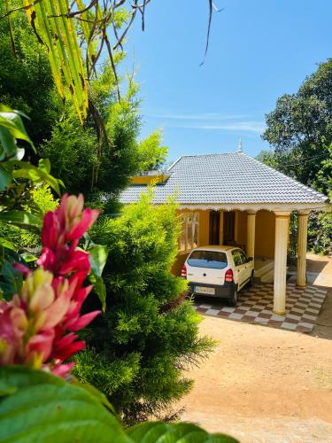 Munnar Lush Greens