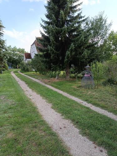 Naturnahe Ferienwohnung in Friedrichsruhe