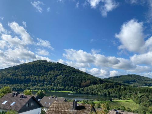 View, FeWo Hillebachsee in Niedersfeld