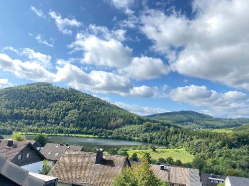 View, FeWo Hillebachsee in Niedersfeld