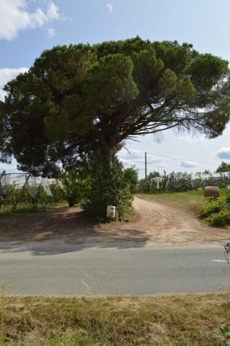 Gite Rural de Caractere