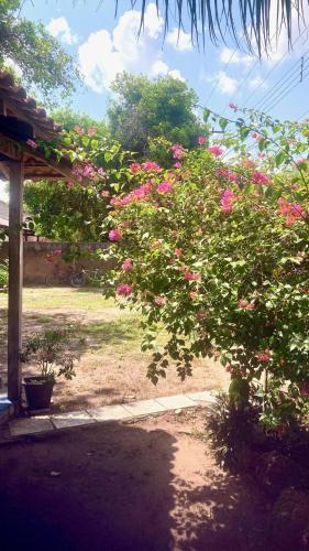 Caju Hostel – Santarém, NE