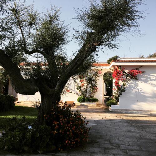 Facilities, Villa sul mare Rosa Marina in Rosa Marina