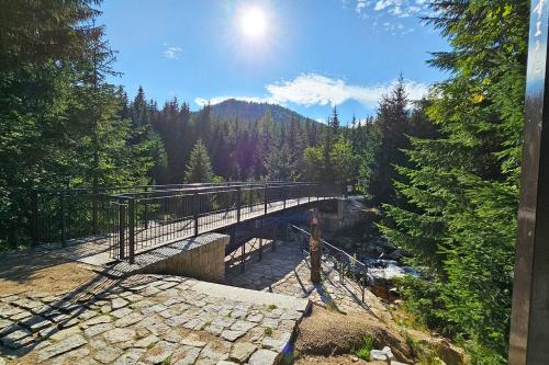 Surrounding environment, ENJOYHARRACHOV - Atraktivni slunne studio Certovka v centru Harrachova s garazovym parkovanim, Wifi- in Harrachov