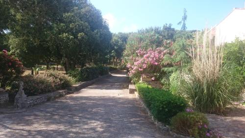 Domaine De Foresta