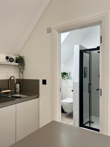 The Loft Studio apartment - above detached new build garage in Llansantffraid