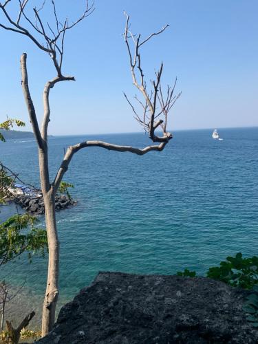 Villa Cettina Boutique Hotel - image 14