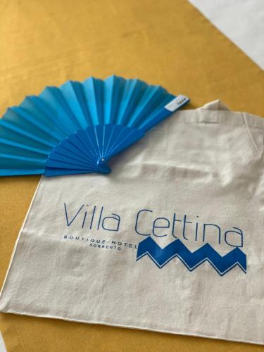 Villa Cettina Boutique Hotel - image 10