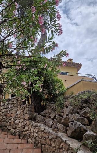 Villa Saint Paul de Vence - Location, gîte - Saint-Paul-de-Vence