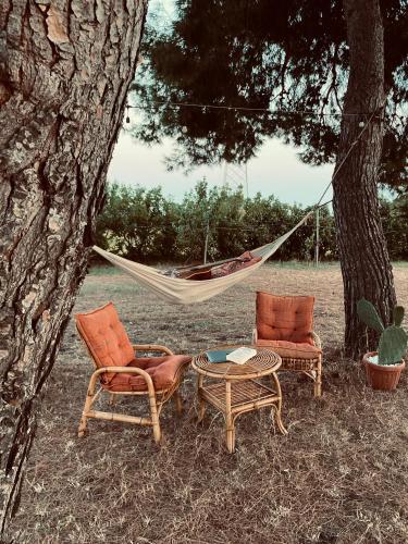  L´Oasi del Pardo, Unterkunft in Ginosa