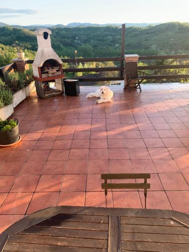 La Casa di Bacco B&B in Montaldeo