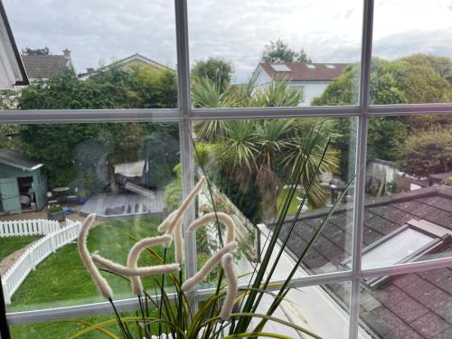 97 Granville road, Dublín (foto 5)