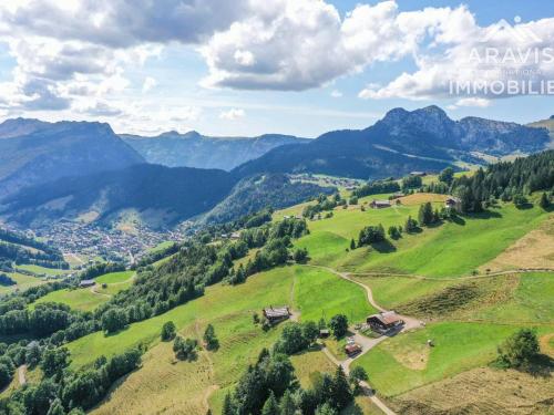 Appartement Le Grand-Bornand 3 pièces 4 personnes - FR-1-391-118 - image 10