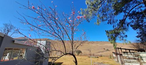 KASP Cottage KASP Cottage