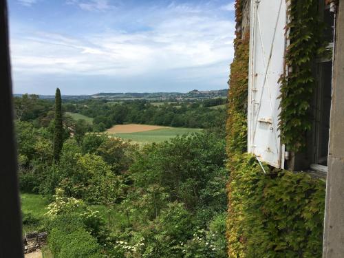Chateau de Montcuquet in 洛特勒克