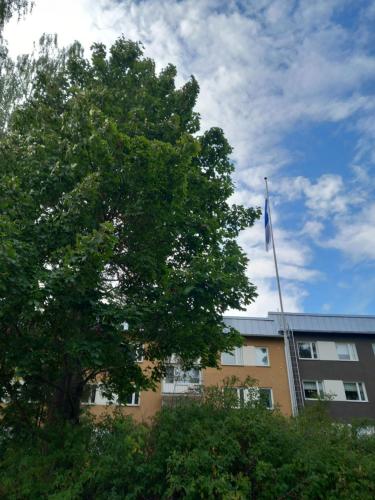 Puotilan Rose in 埃爾瓦