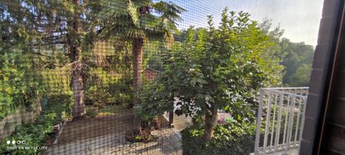 Area relax in Castiglione Torinese
