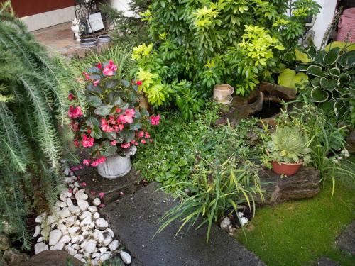 Apartment Halady - image 14