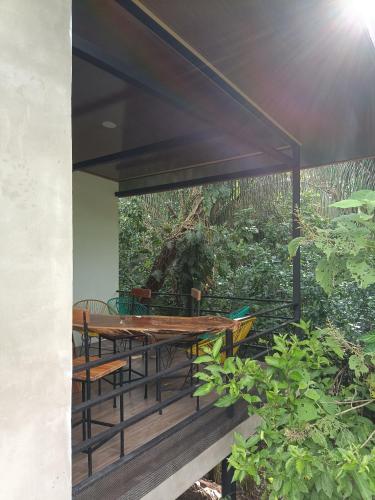 Selva Linda Lodge jungle wildlife vue and birdwatching in Barrio Inmaculada