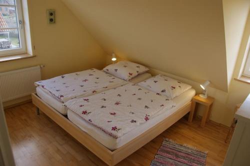 Strandrose, Brasilien (Schönberg) (foto 6)