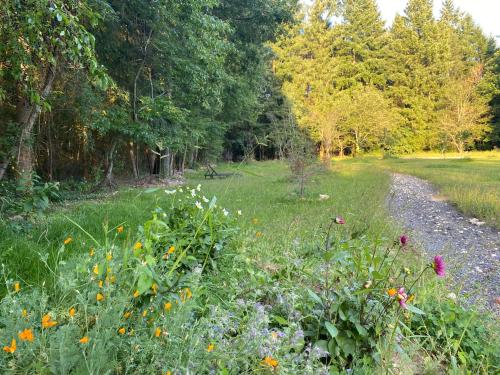 สภาพแวดล้อมโดยรอบ, Maison dans parc privé, sports et loisirs proche golf du Coudray Montceaux (Maison dans parc prive, sports et loisirs proche golf du Coudray Montceaux) in เลอ ซูดราย ม็องซูร์