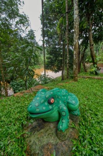 Ende Wayanad Resort