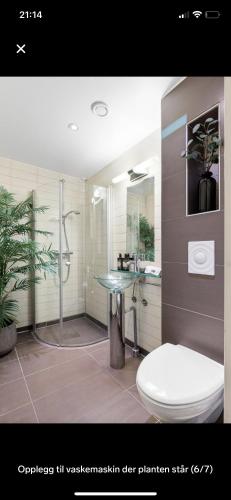 Central and modern apartment in Oslo, Oslo (fotografie 8)