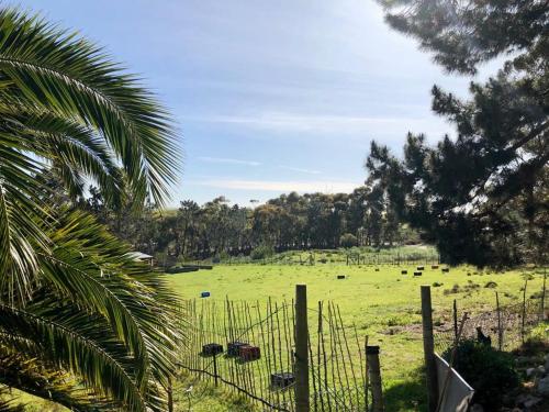 Rodyti, Das Steinhaus in Neipyras