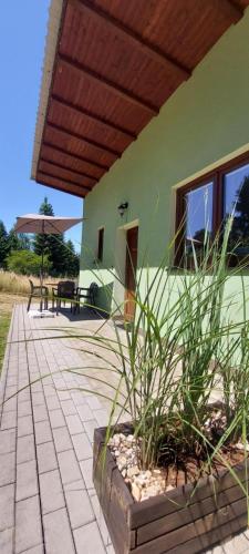 Apartmán Nová Živohošť, Slapy, Slapská přehrada. Pouze týdenní pobyt so -so