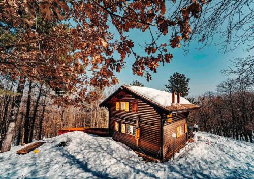 Baita Nord - Chalet - Linguaglossa