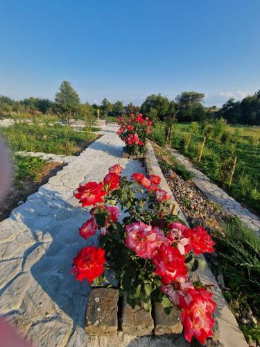 Вілла Сади Єви in Dolgoluka