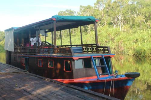 Orangutan Houseboat Park Tanjung Puting