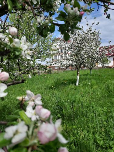 Вілла Сади Єви in Dolgoluka