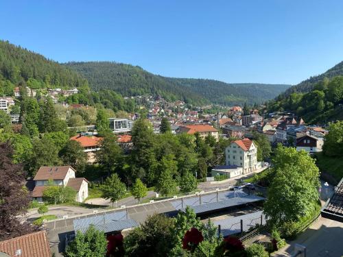 Wellnesshotel Rothfuß mit Spa und 2 Schwimmbädern