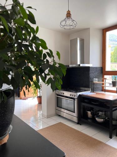 Duplex Sallanches - Terrasse, Centre & Parking, Sallanches (Foto 7)