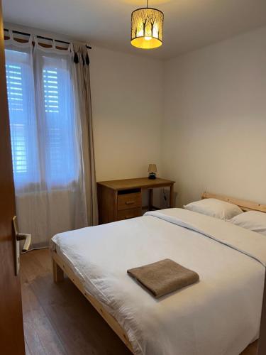 Duplex Sallanches - Terrasse, Centre & Parking, Sallanches (Foto 10)