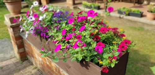 比奇豪斯酒店 比奇豪斯酒店