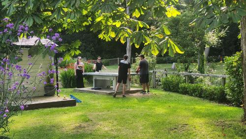 Red River Stables - Peaceful, beautiful grounds, swimming pool, central location for West Cornwall 4