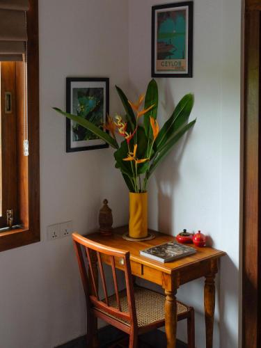SLOW - Villa & Café, Tangalle (foto 7)