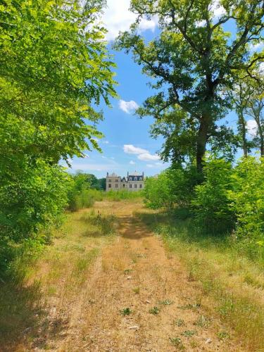 Château des Nouies