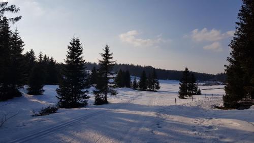 Appartement Les rousses, Jura