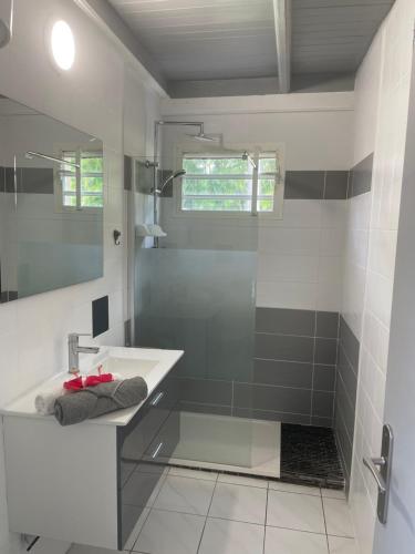 Badkamer, Appart-97290- Vue magnifique sur Mer in Diamant