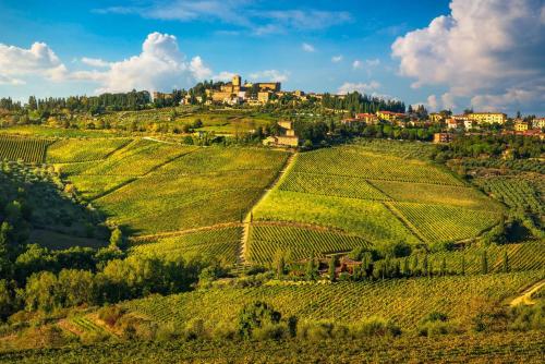 Tranquil Vineyard Barn in Heart of Chianti