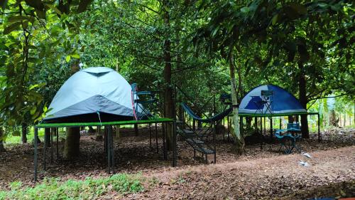 Dragster Tents in Čalakudija