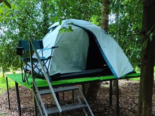 Dragster Tents in Chalakudy