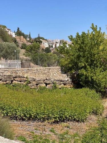 Molino Los Leones, Ronda (foto 8)