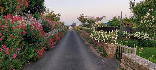 Maison wifi jardin arboré pointe du Raz