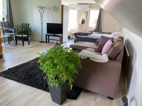 Gäst lägenheten med egen terrass (Gast lagenheten med egen terrass) in 안데르스토르프