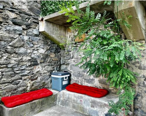 0-A Diamond in Yonkers, NY